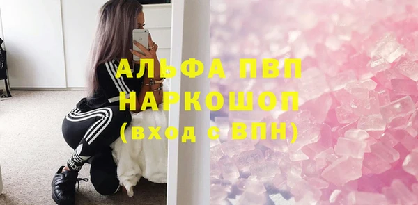 PSILOCYBIN Михайлов