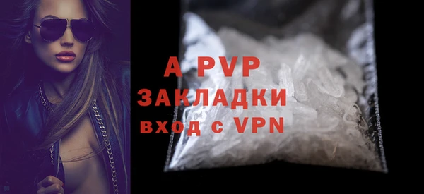 PSILOCYBIN Михайлов