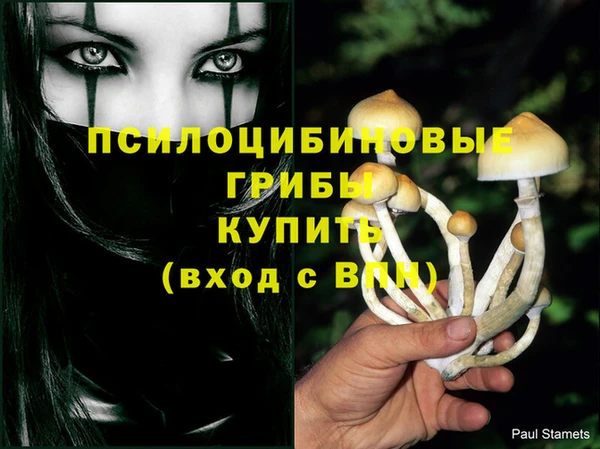 мет Надым