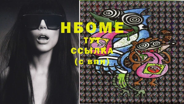 PSILOCYBIN Михайлов