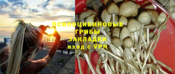 PSILOCYBIN Михайлов