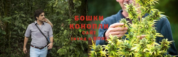 PSILOCYBIN Михайлов