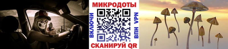 Купить где  Кондрово  Галлюциногенные грибы мицелий 